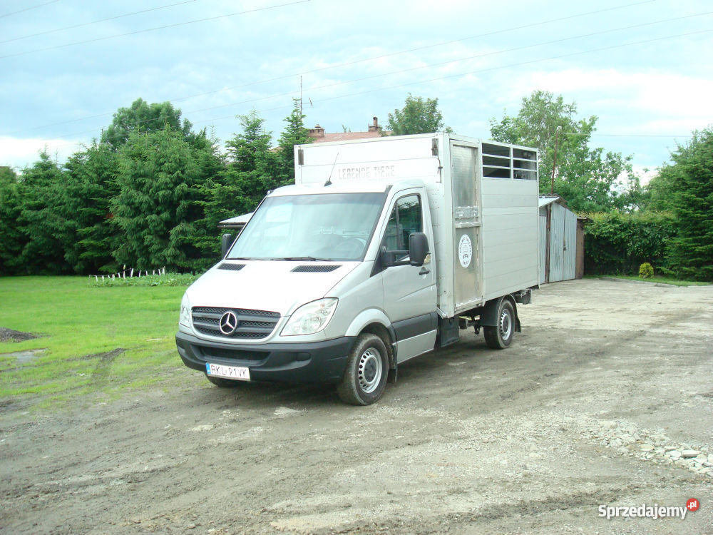 MERCEDS 315 CDI DO PRZEWOZU ZWIERZĄT VIEHTRANSPO Kolbuszowa