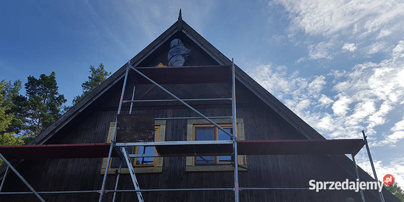 Usuwanie gniazd os i szerszeni likwidacja owadów Suwałki