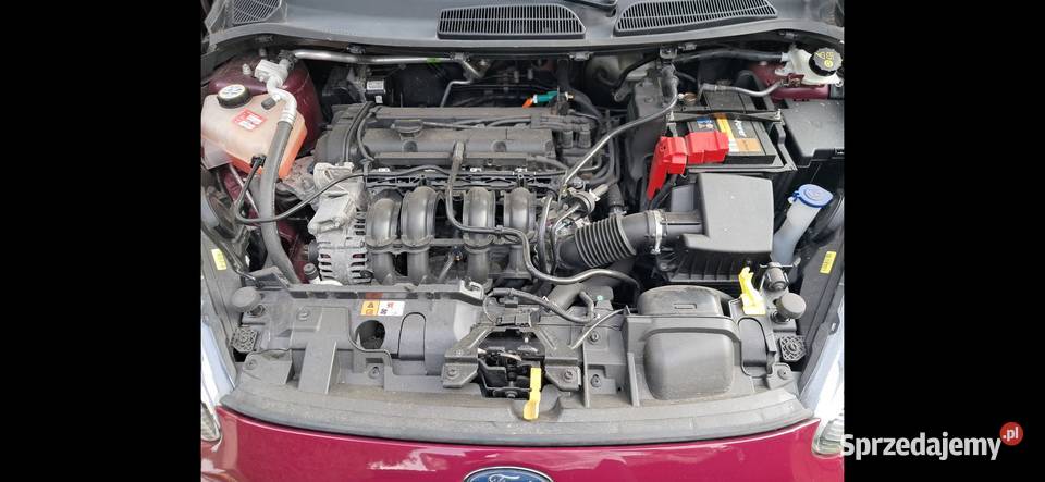 Ford Fiesta 2013r 59 Nowy manualna Fiesta Kielce