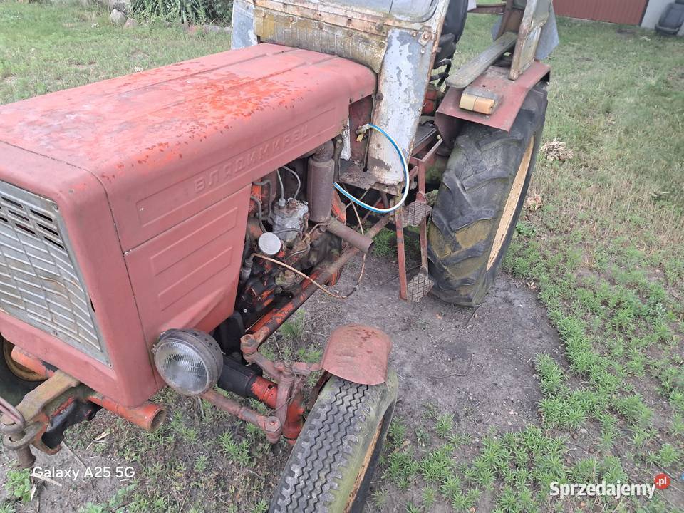 Wladymirec t25 ursus zetor Sokołów Podlaski