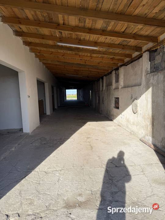 Magazyn 1000 m do wynajęcia Duża działka Pielgrzymowice