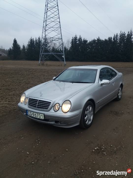 sprzedam ładnego mercedesa clk z niezawodnym Grudziądz
