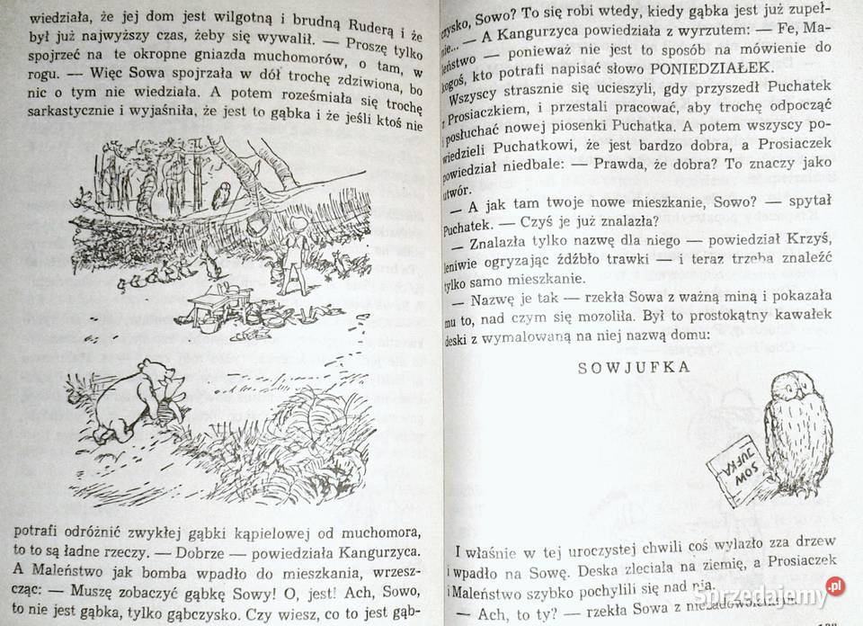Chatka Puchatka Alan Alexander Milne Chełm sprzedam