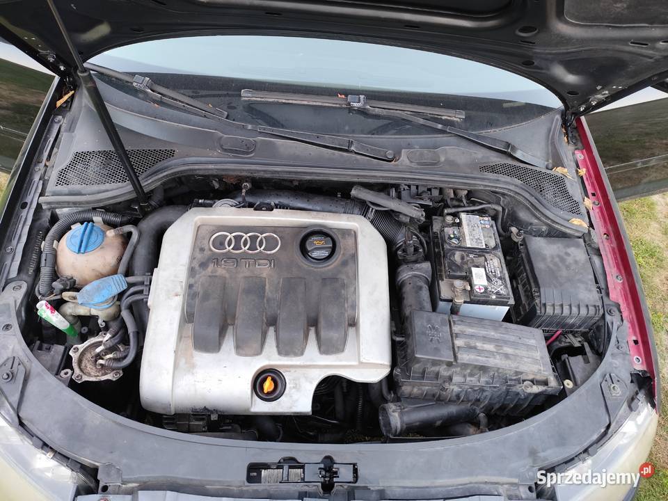 Audi a3 8p 19 silnik skrzynia inne osobowe świętokrzyskie