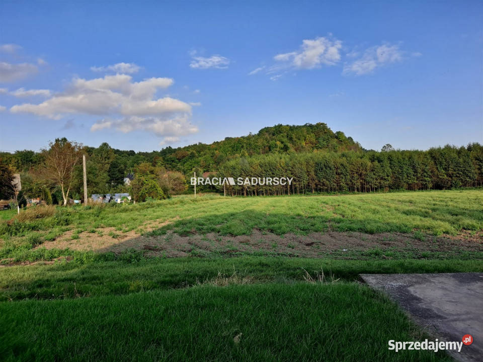 Grunt Polekarcice 4800m2 sprzedam