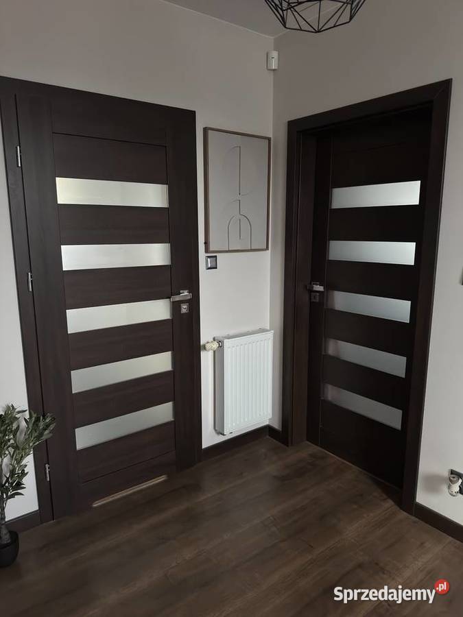 Drzwi wewnętrzne Intenso Venge 10 par stan Drzwi wewnętrzne lubelskie Stoczek Łukowski
