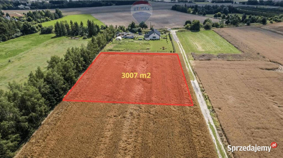 Kicin kPoznania3007 mKapitał rosnący w ciszy 60m wielkopolskie sprzedam