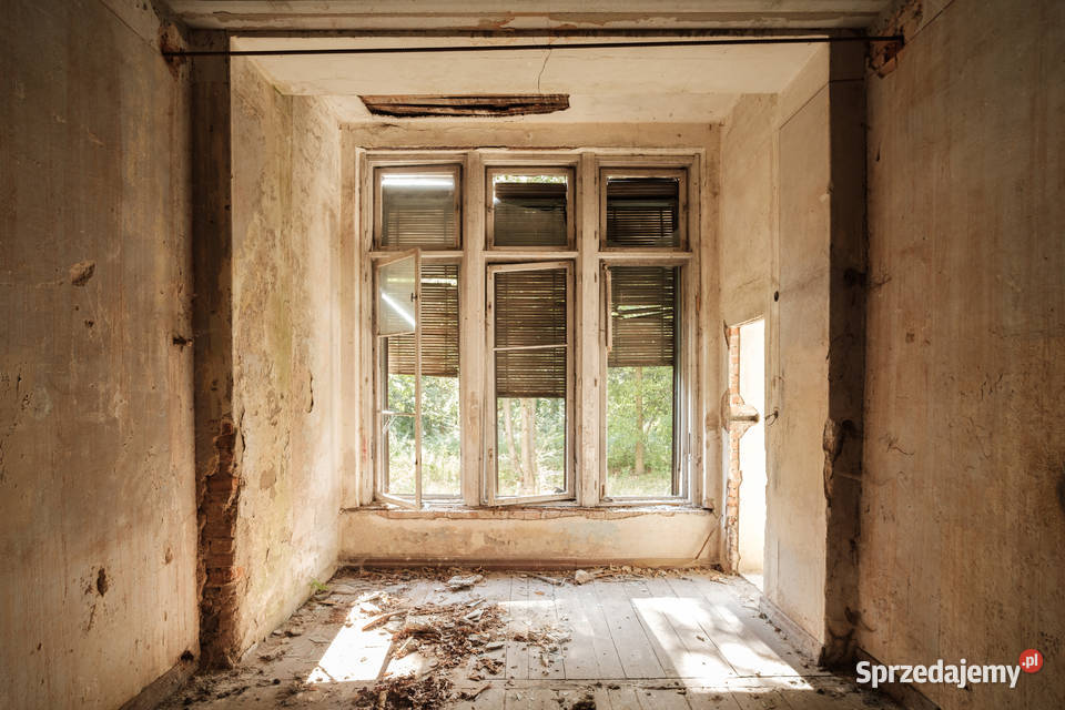 Zabytkowy pałac z parkiem Wilków woj Opolskie wolnostojący