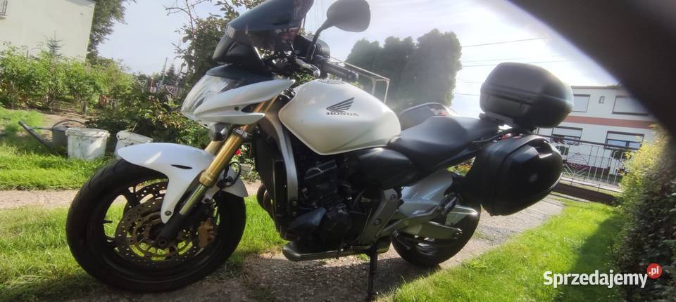 Honda Hornet CB600FA 2008r benzyna Skorogoszcz sprzedam