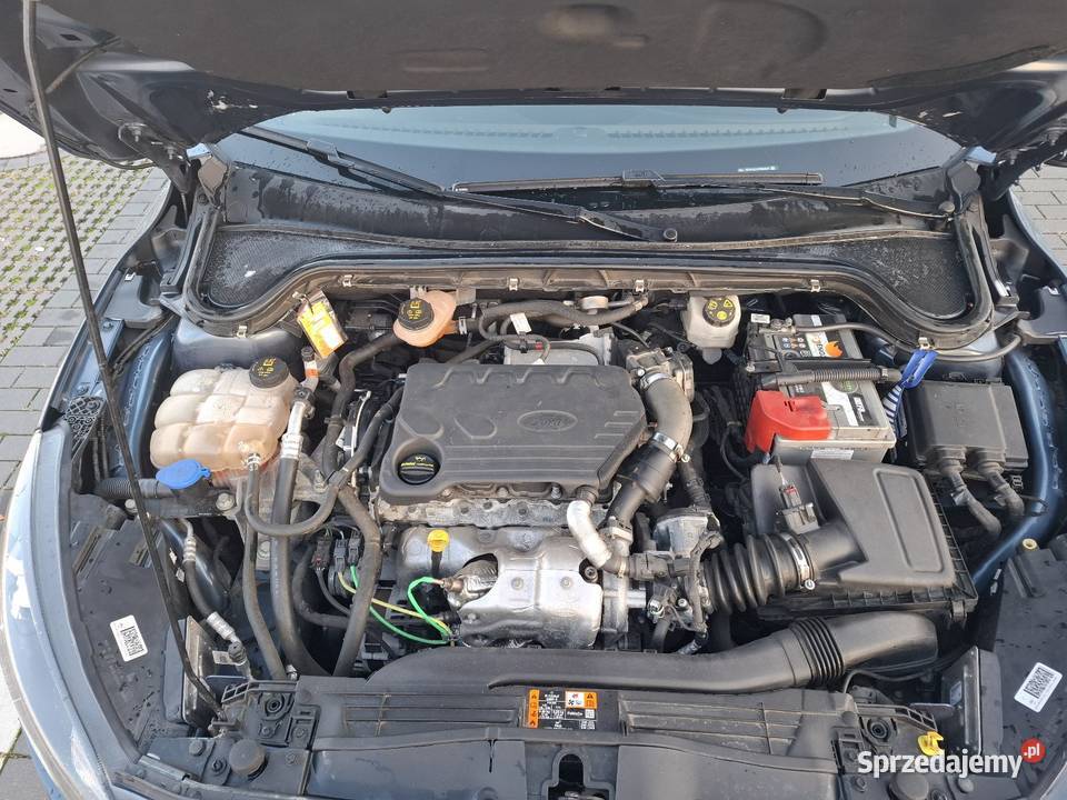 Ford Focus mk4 15 ecoblue zachodniopomorskie Stargard sprzedam