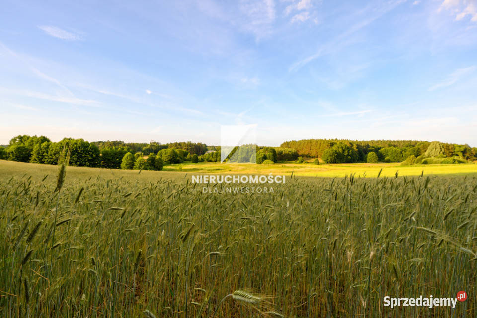 Kameralne działki budowlane w Kłodawie 1725 ar lubuskie Kłodawa sprzedam