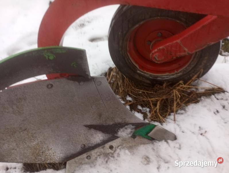 Plug zagonowy KOJA zagonowy 4 Grozimy