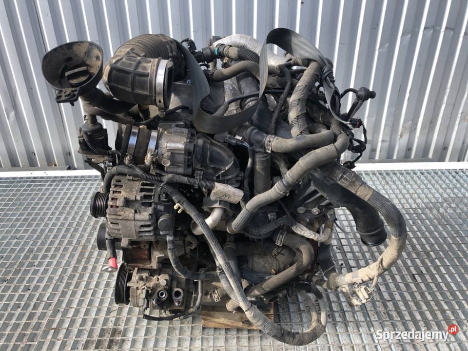 SILNIK KOMPLETNY FORD TRANSIT VI YLF6 sprzedam