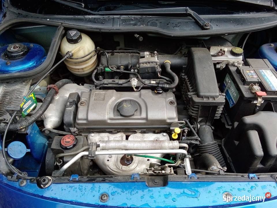 Peugeot 206 plus 5600 wielkopolskie Żychlin