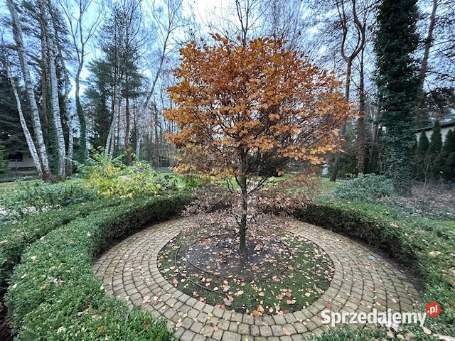 MAGDALENKA 1900m2 piękna działka bud z mediami
