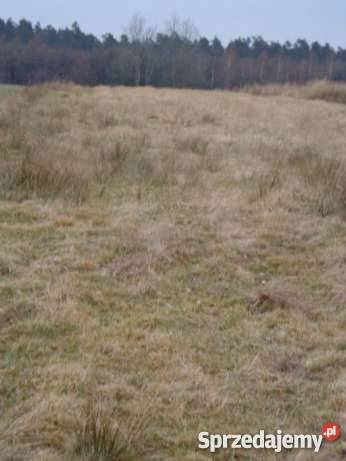 DZIAŁKA PORĘBY KUPIEŃSKIE TANIO Poręby Kupieńskie