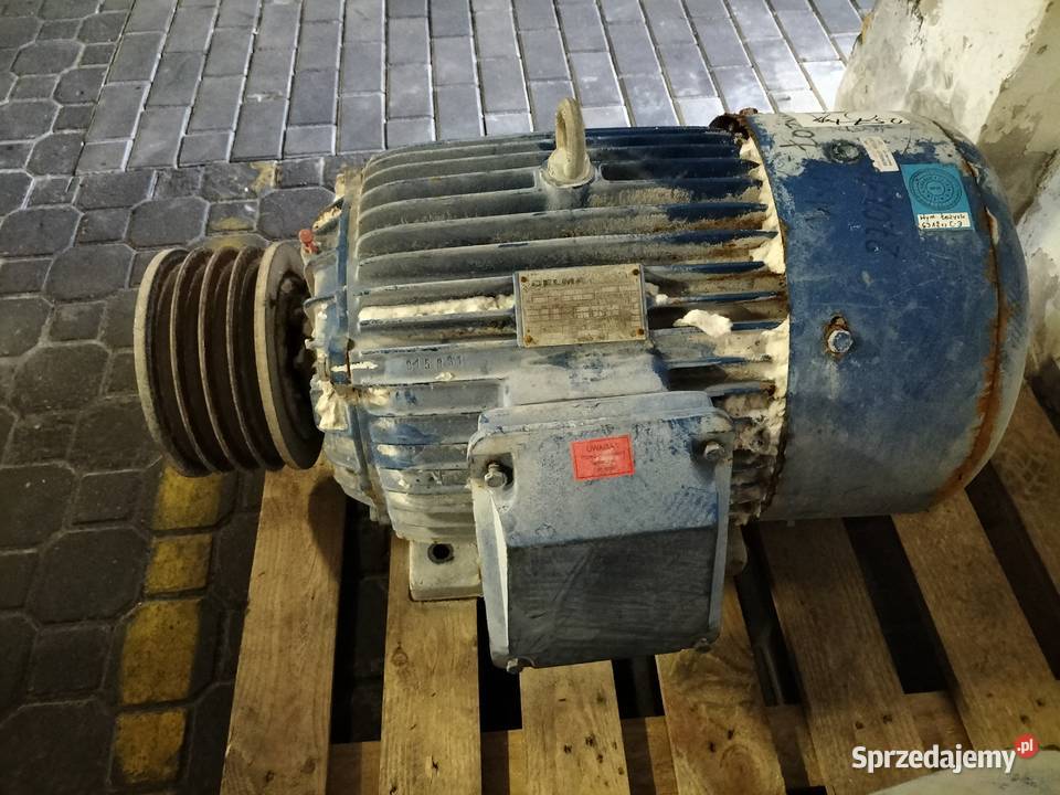 Silnik elektryczny 30kw2960obr Toruń sprzedam