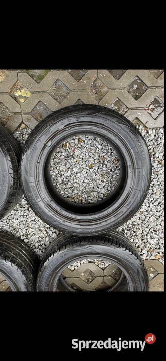 Opony letnie Premiorri 1956015 2021 67mm