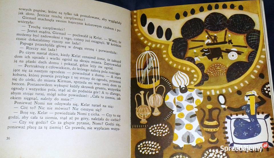 Papuga z Isfahanu Friedrich Feld Chełm