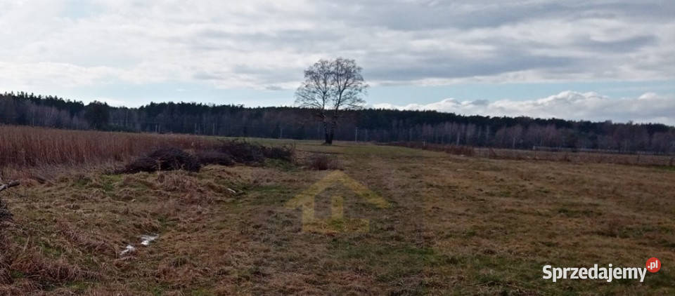 Działka w Chrośnie gmina Kołbiel Chrosna sprzedam