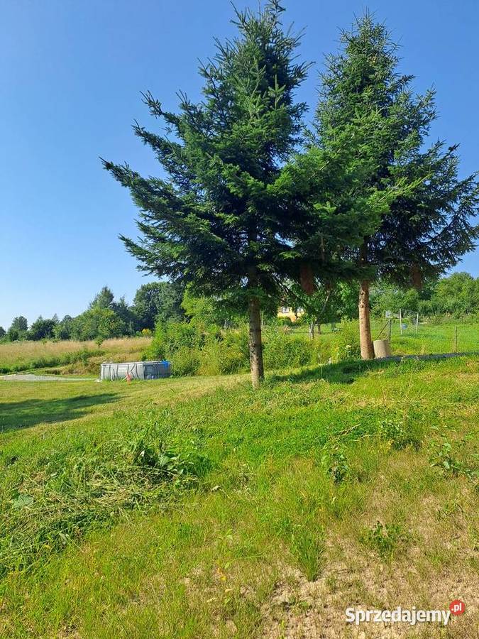 Duży Gotowy Drewniany Dom Góry Las Rzeka Trzetrzewina sprzedam