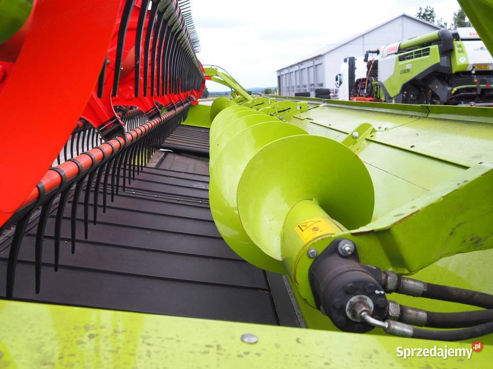 Claas Convio Flex 930 Heder do zboża rzepaku Claas Stęszew