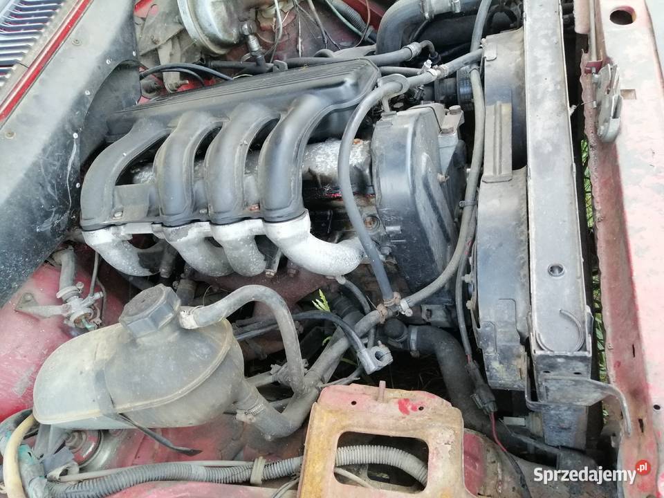 Silnik 19 xud citroen suzuki fiat polonez osobowe Blok silnika Suskowola sprzedam
