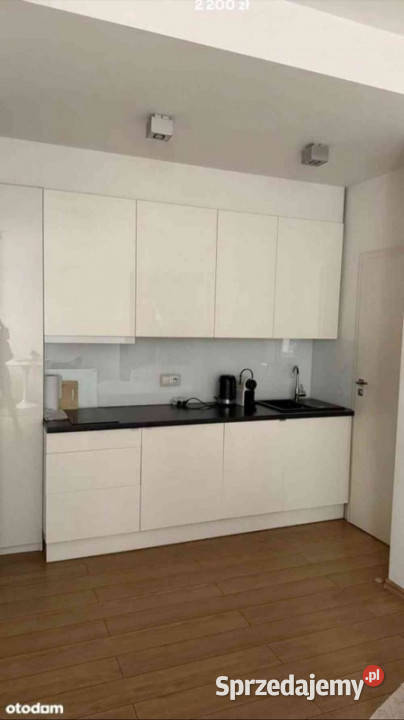 zaraz Świetne studio w centrum Poznania szukam 3 piętra i więcej Wynajem Poznań sprzedam