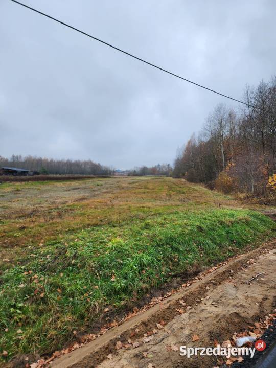 Sprzedam działki 309zł/m2 Rydzów sprzedam