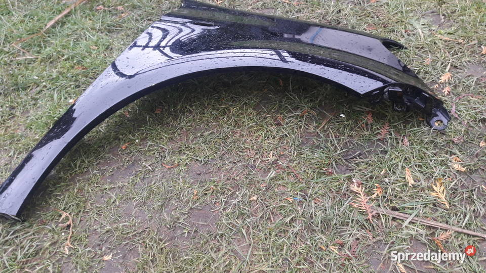 Błotnik przód prawy Smart Fortwo Błotniki Lubin