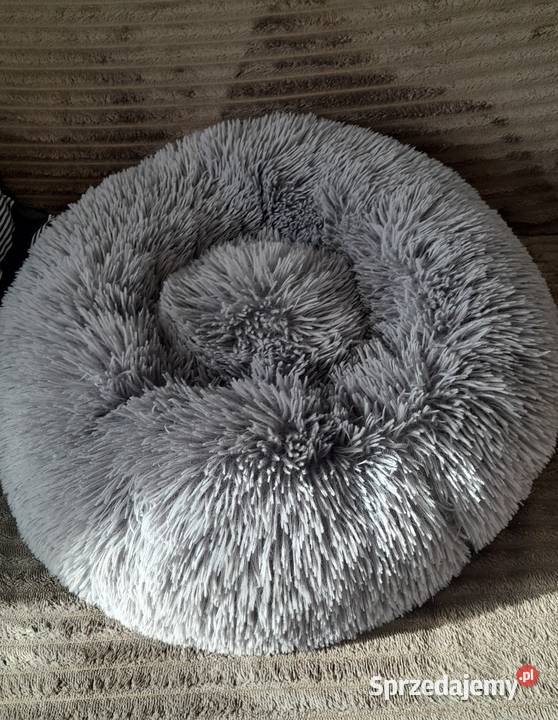 Tanio posłanko kotka nieużywane w idealnym Łódź