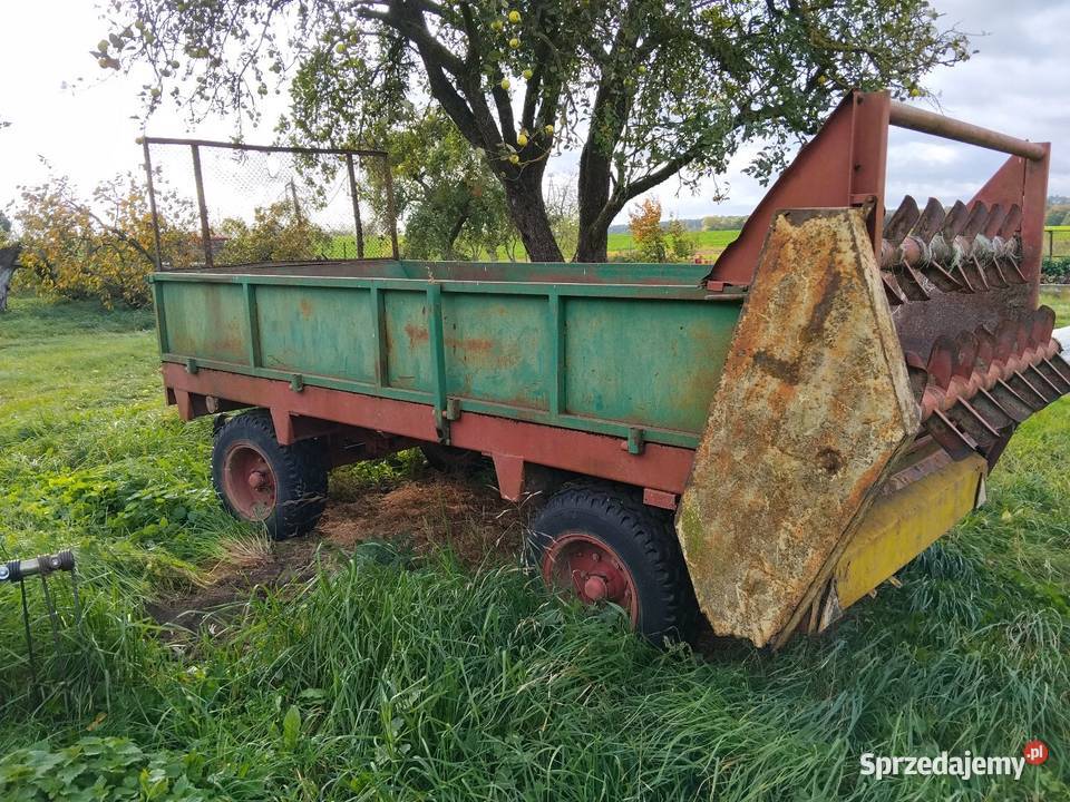 Rozrzutnik obornika czarna białostocka 35t Maszyny rolnicze Wierzchucin Królewski sprzedam