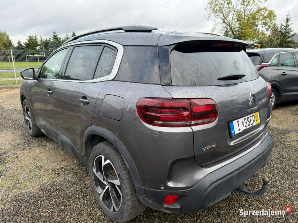 Citroen C5 Aircross hybryda plugin lift Zbąszyń