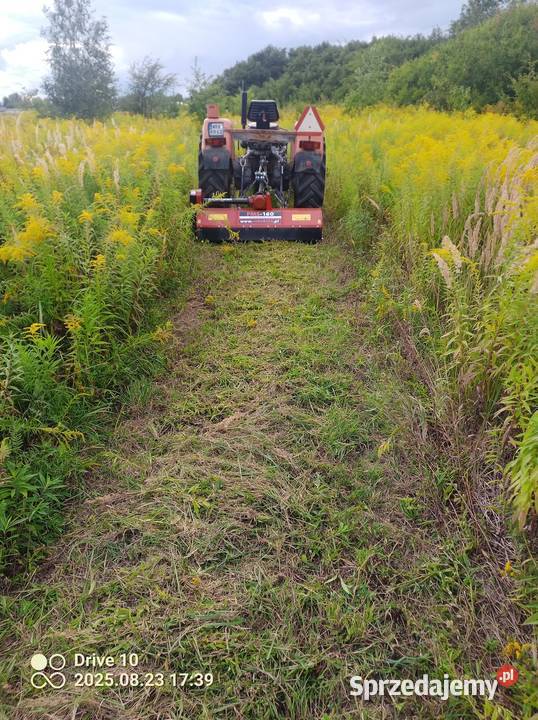 Koszenie traw i zarośli Radom