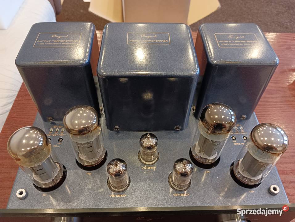 Cayin MT35S łódzkie Górki Małe