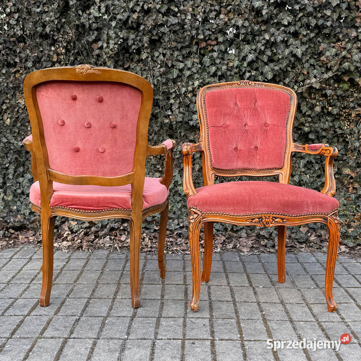 ARTexpert Para foteli Ludwik fotel siedzisko Dobrzany