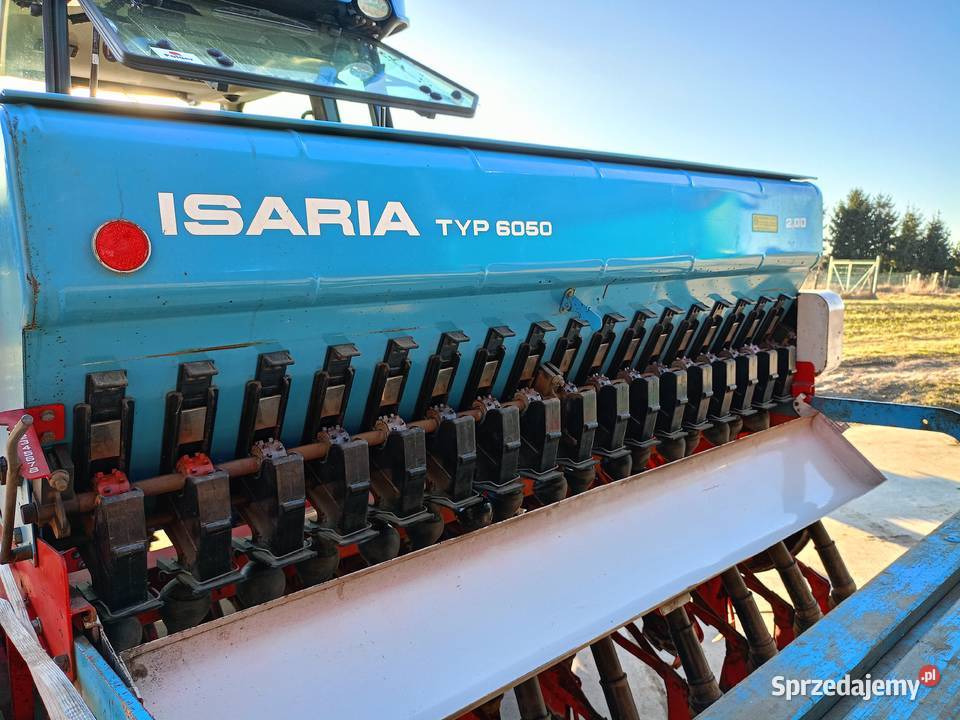 Siewnik zbożowy isaria małopolskie Sułoszowa