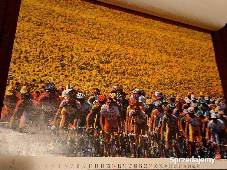 Kalendarz Shimano 2000 Sunada Ayano Kolarstwo wielkopolskie Kościan sprzedam