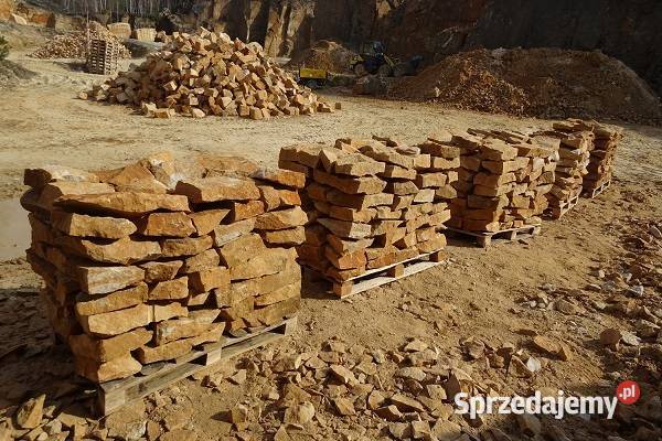 Dzikówka ogrodowa kamień na skalniak skarpy Pozostałe łódzkie Wielgomłyny