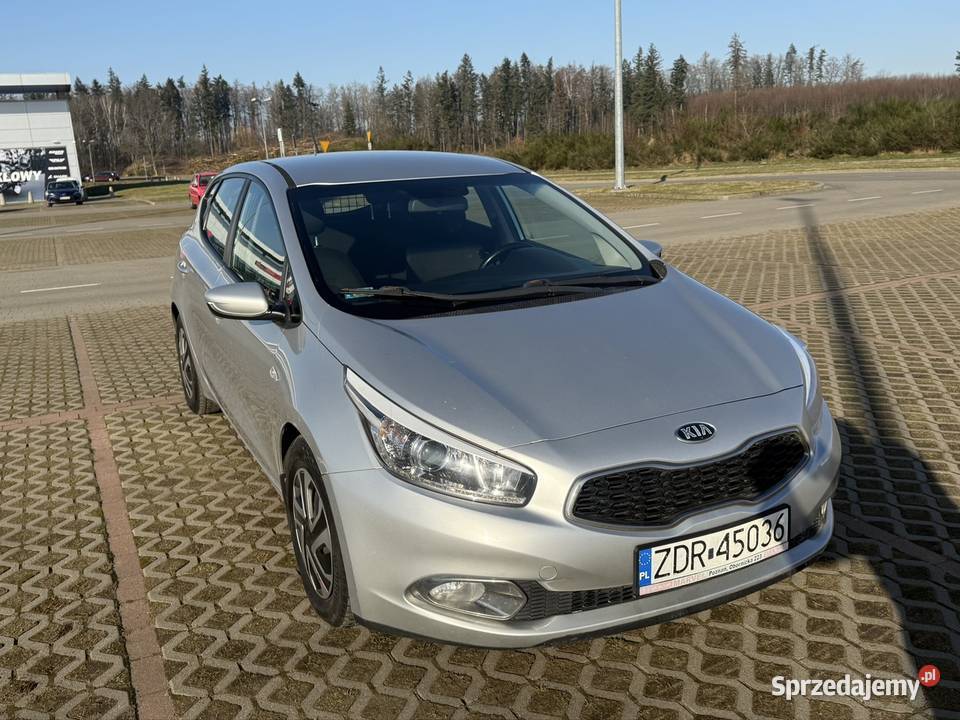 KIA Ceeed Słupsk