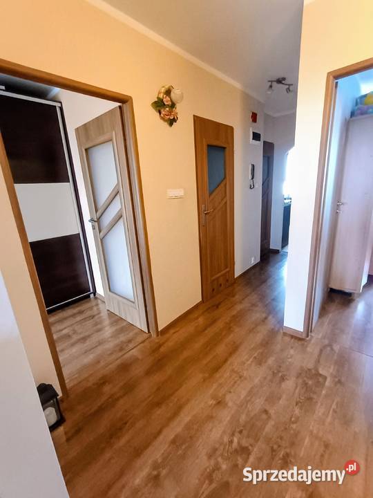 Jasne przestronne 3 pokoje 65m z pięknym dużym oddzielna kuchnia Świdnica