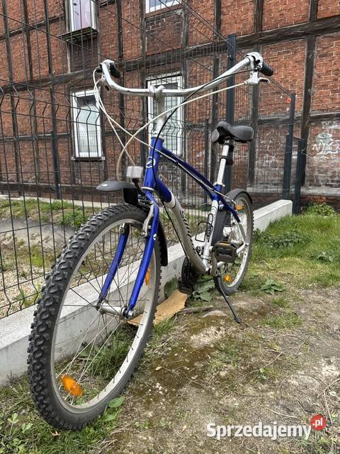 Rower Giant Cruiser Simple Sport i Wypoczynek Gdańsk