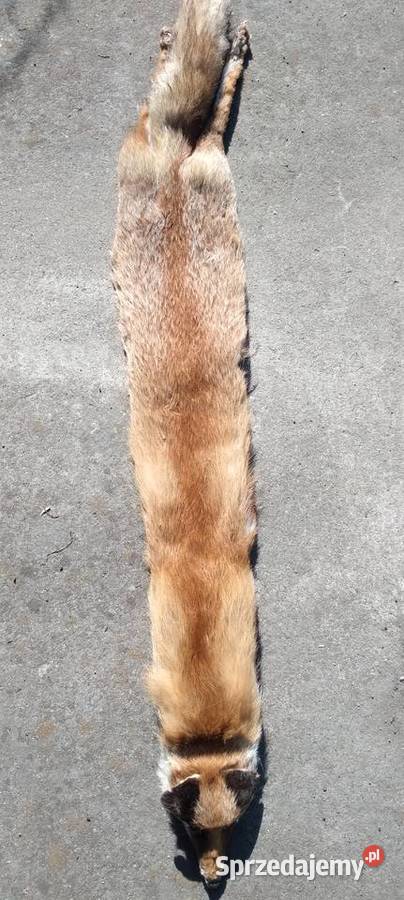 Etola szal z lisa z PRL Koło