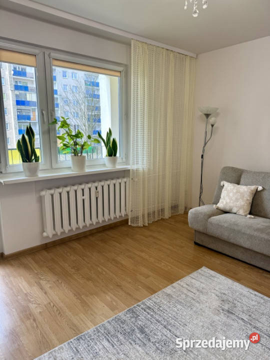 Piękne 2pokojowe mieszkanie 475 m remoncie duży 11354zł/m2 Poznań sprzedam