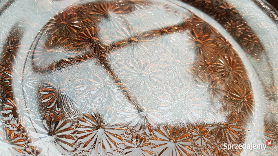 Talerz Stokrotki Primavera ok 23 Ząbkowice Dąbrowa Górnicza