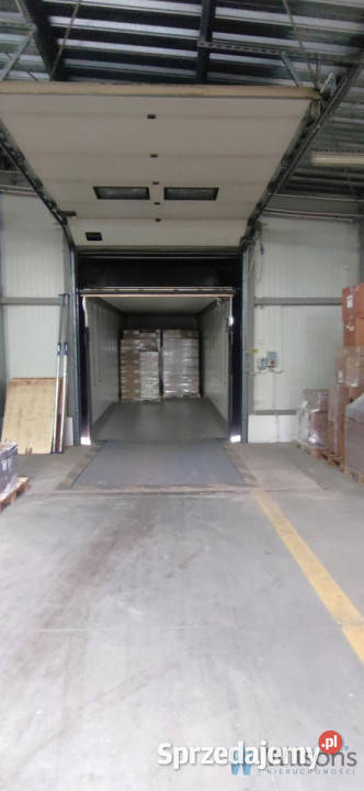 Lokal 3041m2 Czosnów mazowieckie