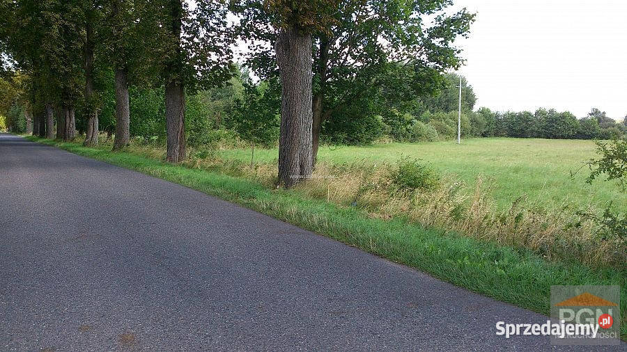 Sprzedaż działki 5000m2 Kołczewo okolica 2 5000m2 sprzedam