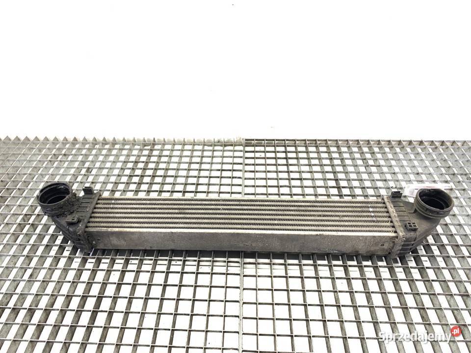 INTERCOOLER MERCEDES W245 A1695000000 20 109