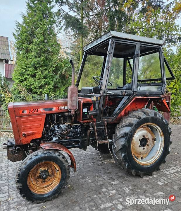 Władimirec LEDA T25 96r Zarejestrowany Grójec