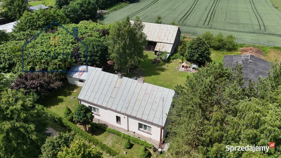 Wyjątkowe siedlisko pod lasem Liczba pokoi 3 warmińsko-mazurskie